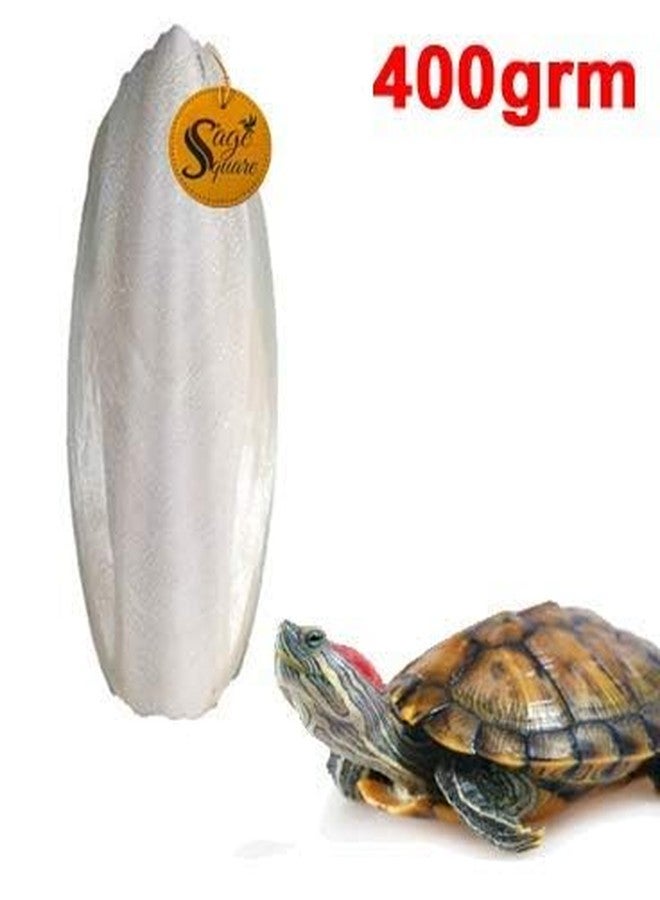 سايج سكوير سيج سكوير مصدر الكالسيوم الطبيعي، عظم الحبار، مكعب معدني طبيعي، كالسيوم، للسلاحف (400 غرام) - Image 2